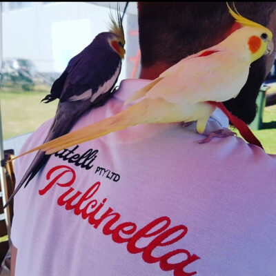 WhatsApp Image 2022-04-06 at 10.07.05 AM